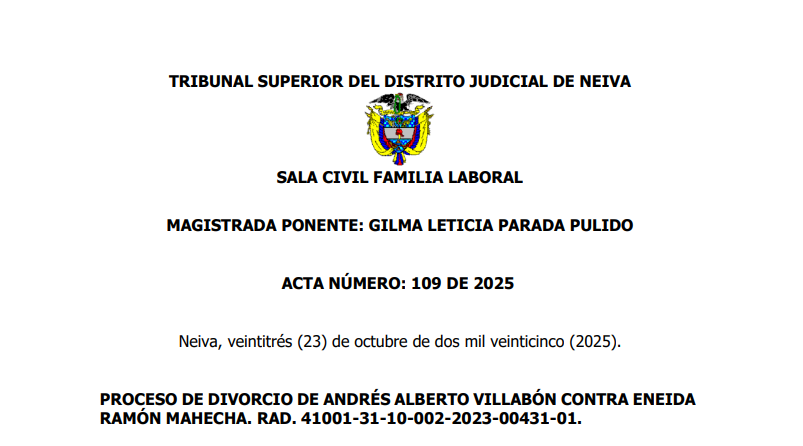 Divorcio por violencia intrafamiliar en Colombia: análisis de un caso real