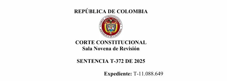 Excompañeras permanentes pueden reclamar alimentos sin escritura pública en Colombia - Sentencia T-372 DE 2025