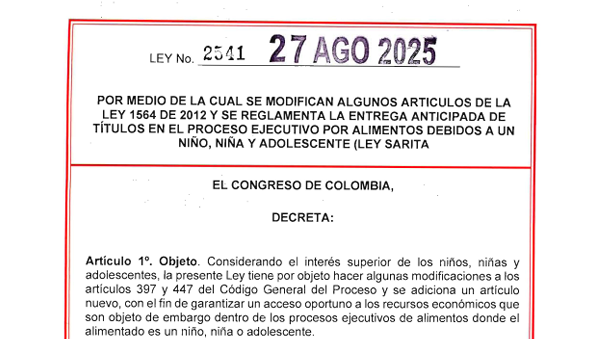 Ley 2541 de 2025 o Ley Sarita: Nueva herramienta para agilizar el pago de alimentos a menores en Colombia