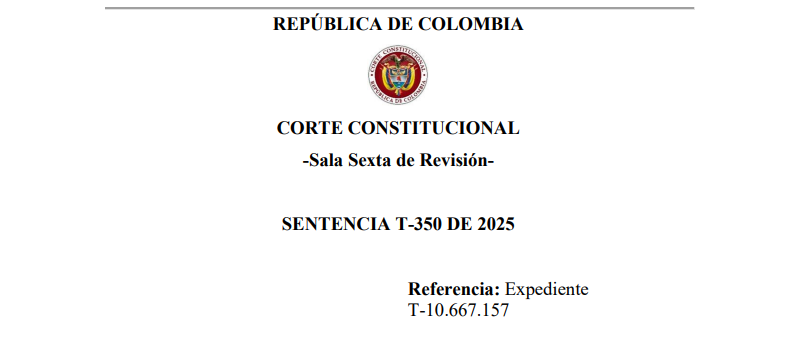 Niña que no quería visitas con su padre ganó tutela en la Corte | T-350 de 2025