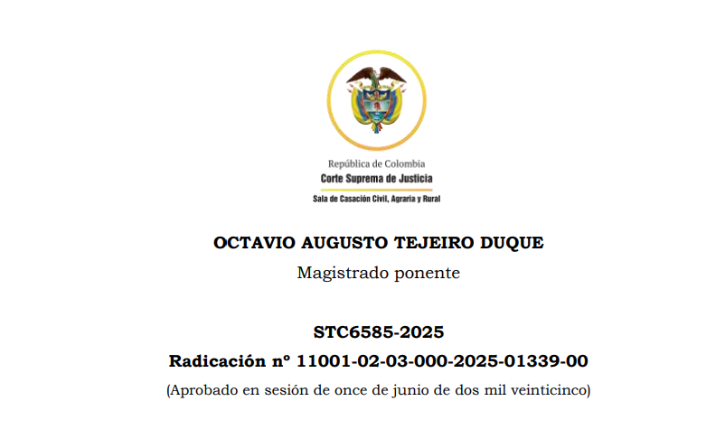 Sentencia STC6585-2025: exclusión de bienes en liquidación conyugal